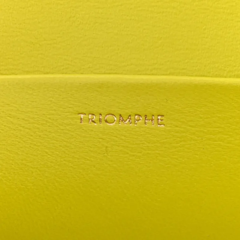 CELINE SMALL CUIR TRIOMPHE CHAIN SHOULDER BAG ANIS SHINY CALFSKIN LEATHER GOLD HARDWARE - Image 8
