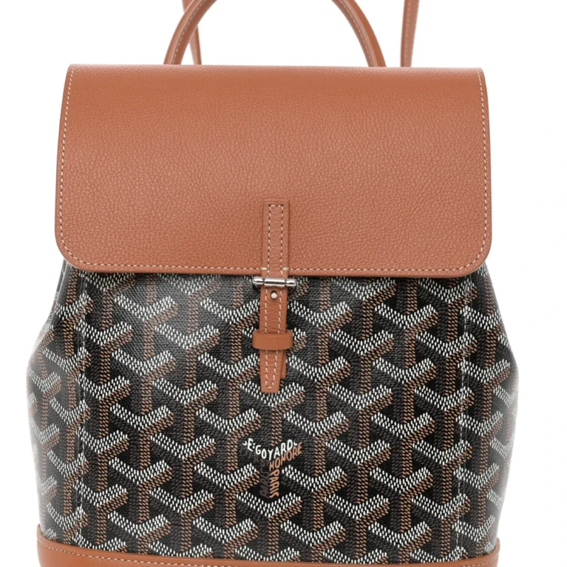GOYARD MINI ALPIN BACKPACK BLACK/GOLD GOYARDINE CANVAS & CALFSKIN LEATHER SILVER HARDWARE - Image 8