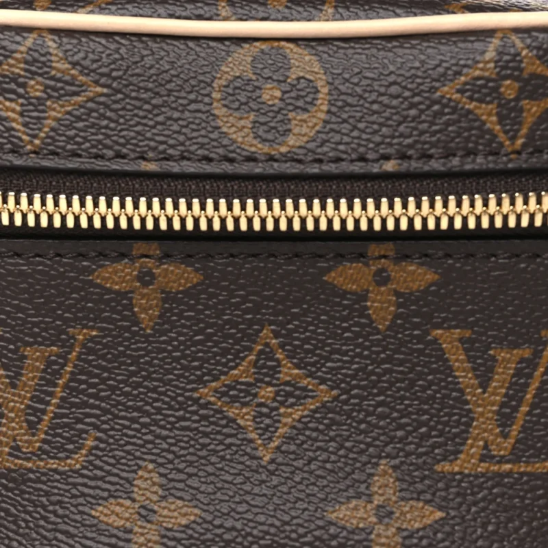 LOUIS VUITTON NANO NICE MONOGRAM CANVAS GOLD HARDWARE - Image 8