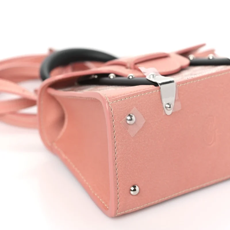 GOYARD NANO SAIGON BAG PEARLY CORAL IRIDESCENT GOYARDINE CANVAS SILVER HARDWARE - Image 4