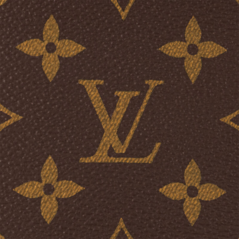 LOUIS VUITTON BAGS WOC LVY - Image 6
