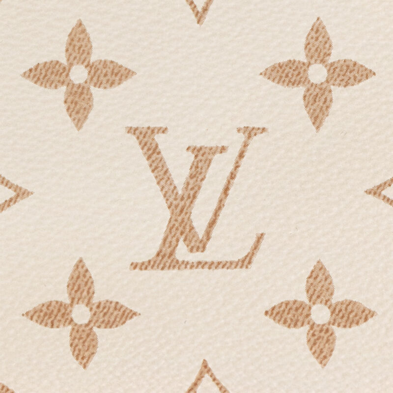 LOUIS VUITTON BAGS WOC LVY - Image 5