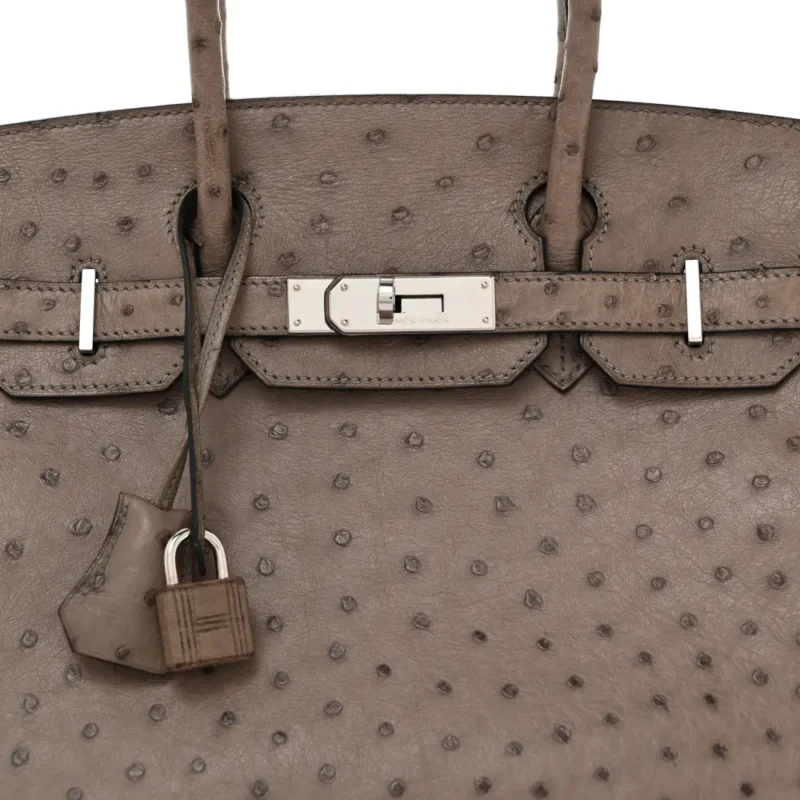 HERM??S BIRKIN 30 GRIS TOURTERELLE OSTRICH LEATHER PALLADIUM HARDWARE - Image 9