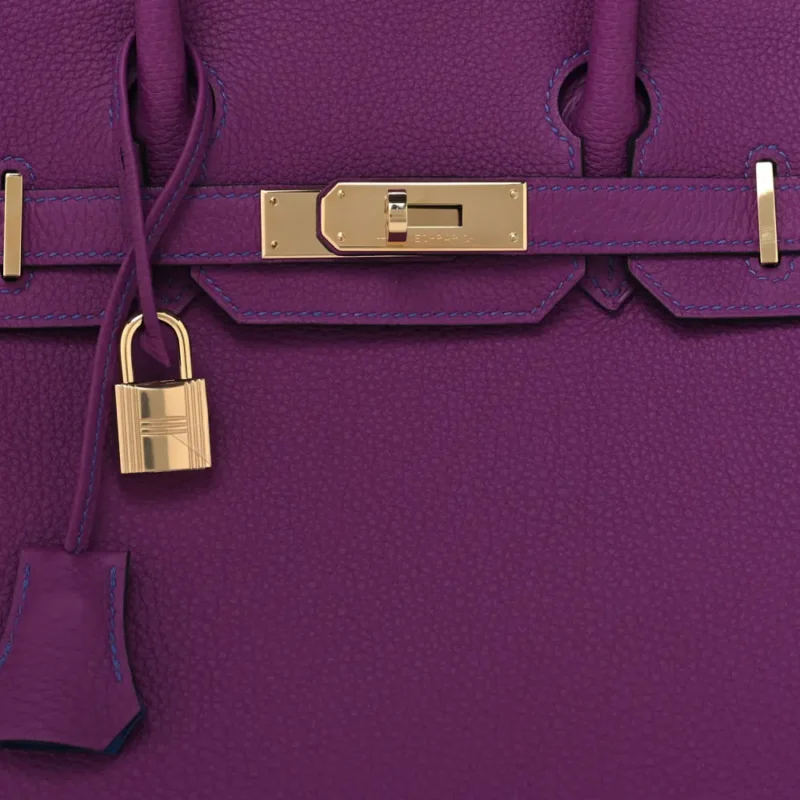 HERM??S HORSESHOE BIRKIN 30 ANEMONE / BLEU ELECTRIQUE TOGO LEATHER GOLD HARDWARE - Image 9
