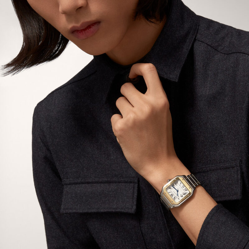 SANTOS DE CARTIER WATCH MEDIUM MODEL YELLOW GOLD STEEL CRW2SA0016 - Image 8