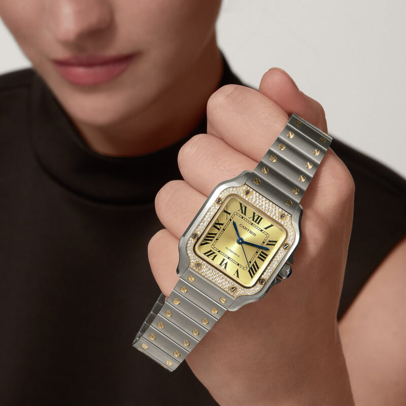 SANTOS DE CARTIER WATCH MEDIUM MODEL 18K YELLOW GOLD STEEL DIAMONDS CRW3SA0007 - Image 8