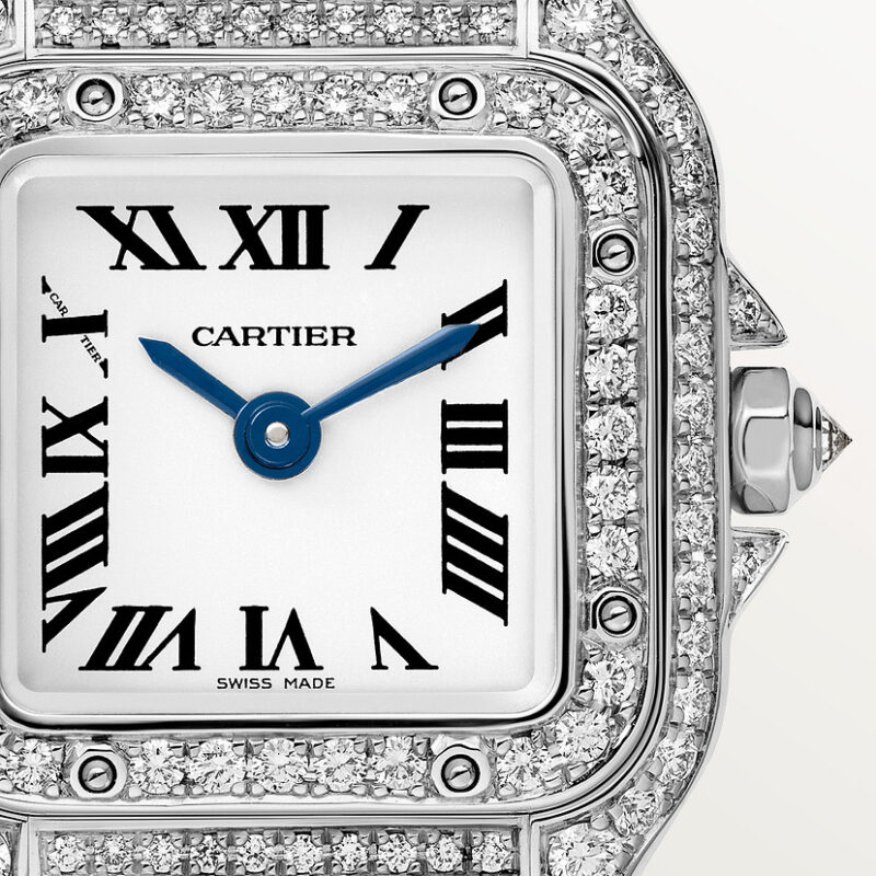 PANTH??RE DE CARTIER WATCH MINI MODEL QUARTZ MOVEMENT WHITE GOLD CRWJPN0046 - Image 2