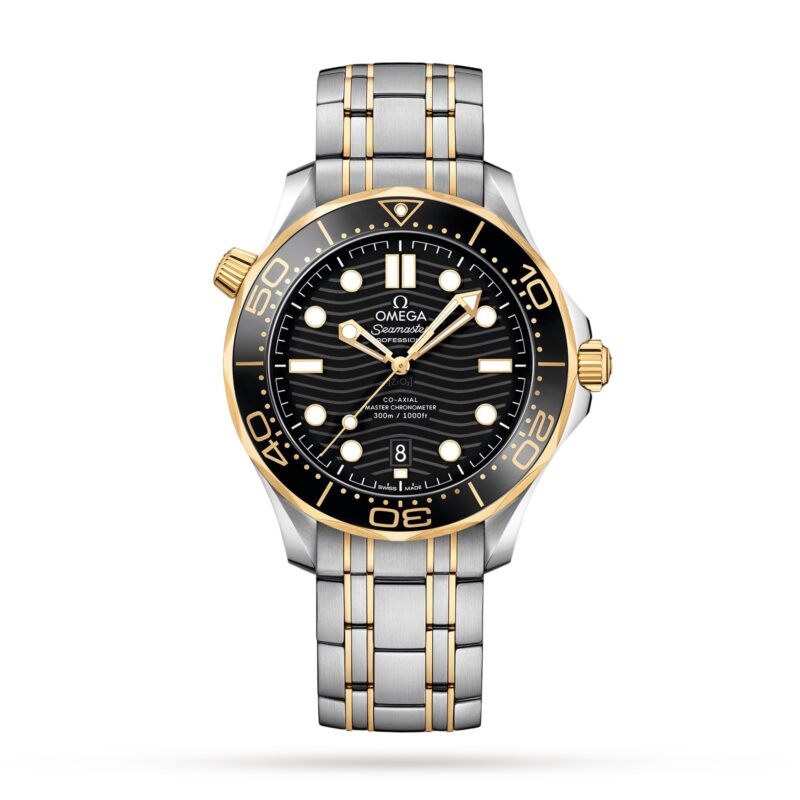 OMEGA SEAMASTER PRO DIVER 300 MENS WATCH O21020422001002