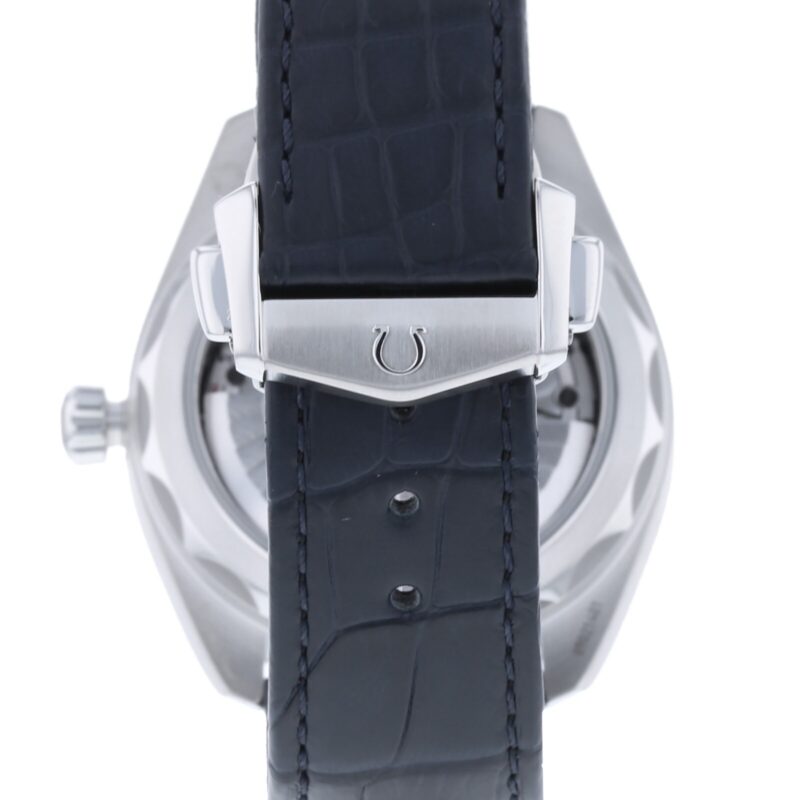 OMEGA SEAMASTER AQUA TERRA 150M CO AXIAL 41MM MENS WATCH O22013412103001 - Image 3