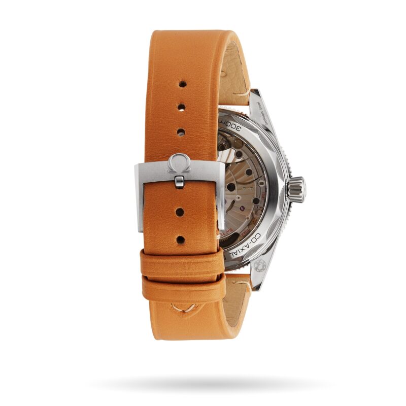 OMEGA SEAMASTER 300 CO AXIAL MASTER CHRONOMETER 41MM MENS WATCH O23432412103001 - Image 5
