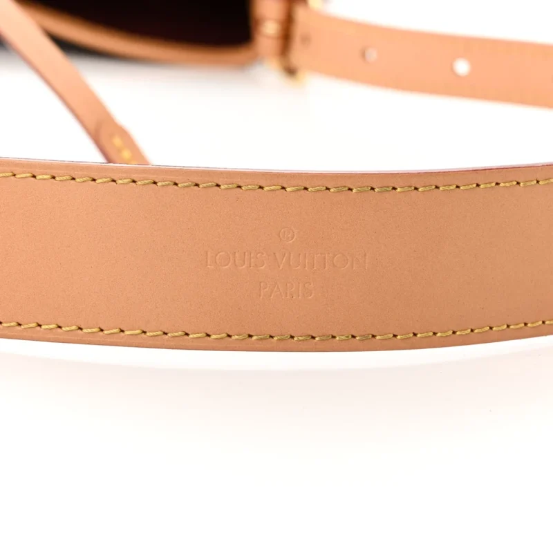 LOUIS VUITTON CARRYALL PM MONOGRAM CANVAS GOLD HARDWARE - Image 2