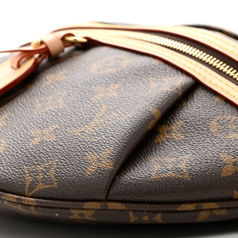 LOUIS VUITTON HIGH RISE BUMBAG PM MONOGRAM CANVAS GOLD HARDWARE - Image 3