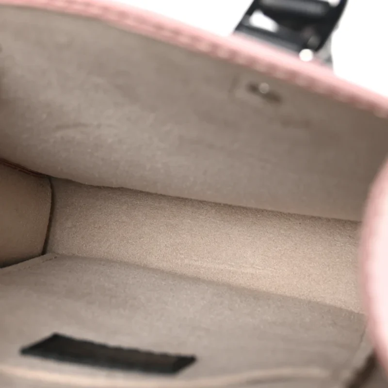 LOUIS VUITTON PETIT SAC PLAT PM ROSE BALLERINE EPI LEATHER SILVER HARDWARE - Image 7