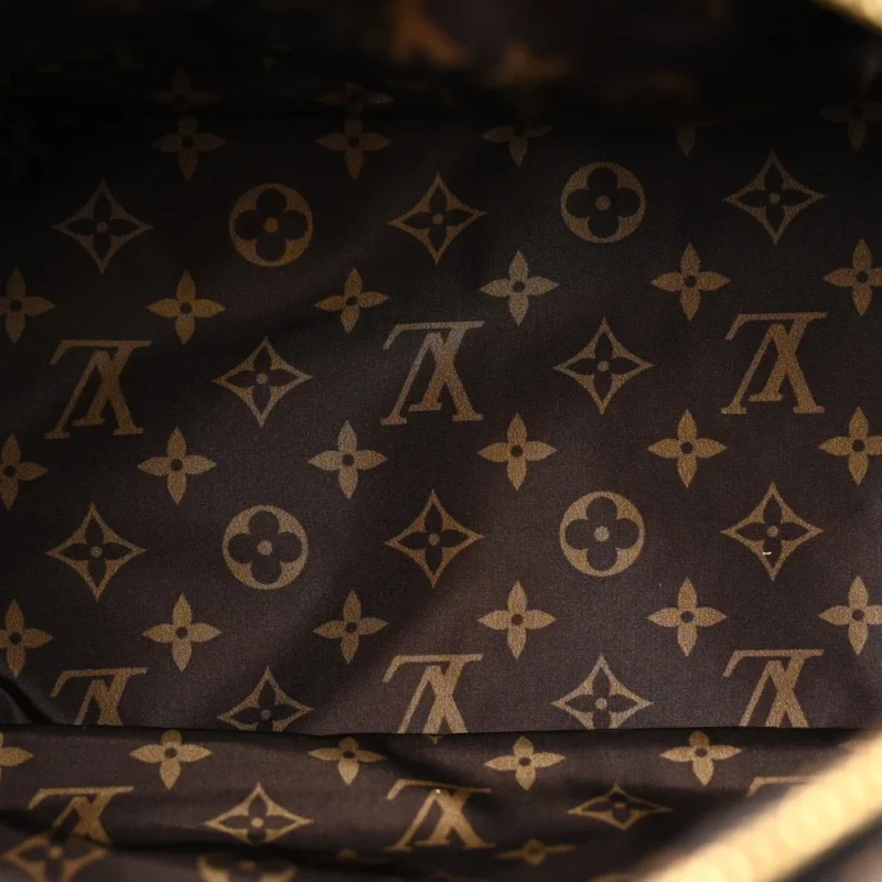 LOUIS VUITTON MINI PILLOW SPEEDY BANDOULIERE 25 BLACK ECONYL & MONOGRAM CANVAS GOLD HARDWARE - Image 7