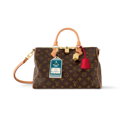 LOUIS VUITTON BAGS SPEEDY