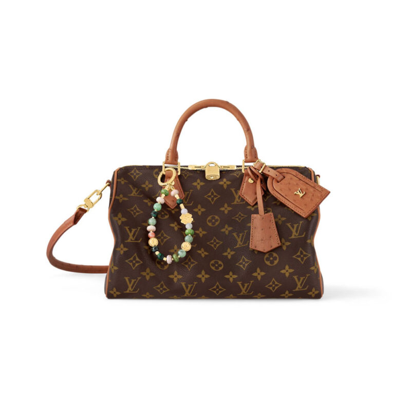 LOUIS VUITTON BAGS SPEEDY