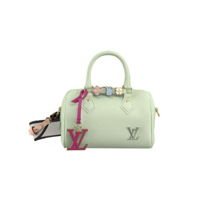 LOUIS VUITTON BAGS SPEEDY