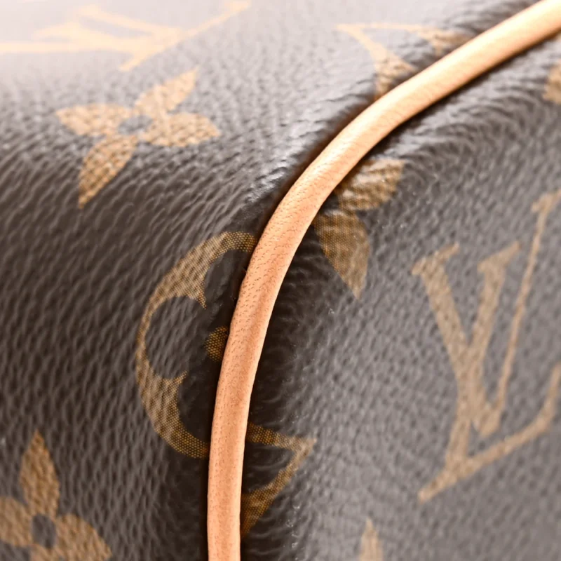 LOUIS VUITTON NICE BB MONOGRAM CANVAS GOLD HARDWARE - Image 6