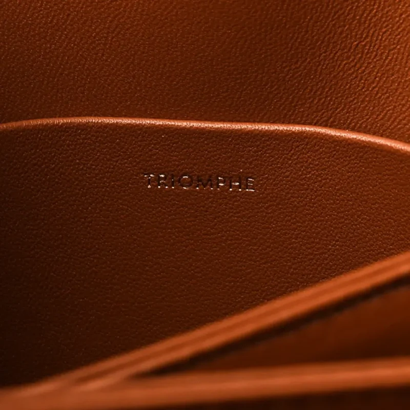 CELINE SMALL TEEN TRIOMPHE BAG TAN CALFSKIN LEATHER & TRIOMPHE CANVAS GOLD HARDWARE - Image 8