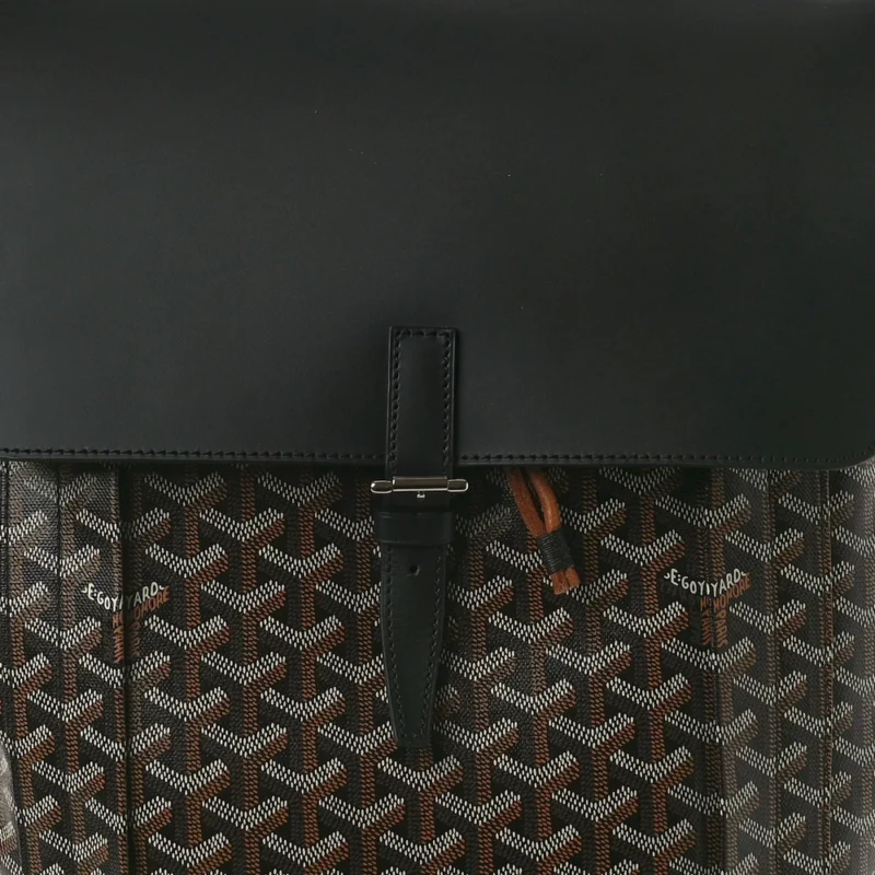 GOYARD ALPIN BACKPACK MM BLACK GOYARDINE CANVAS - Image 8