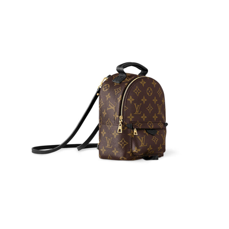 LOUIS VUITTON BAGS PALM SPRINGS - Image 3
