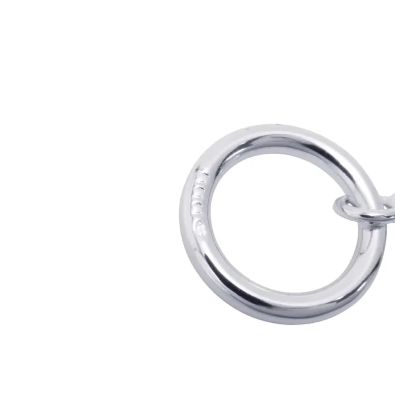 HERMES FARANDOLE LONG NECKLACE - Image 9