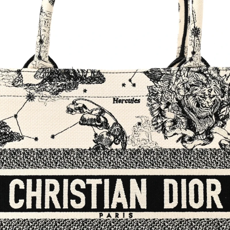 DIOR MEDIUM ZODIAC TOILE DE JOUY BOOK TOTE LATTE EMBROIDERED CANVAS - Image 8