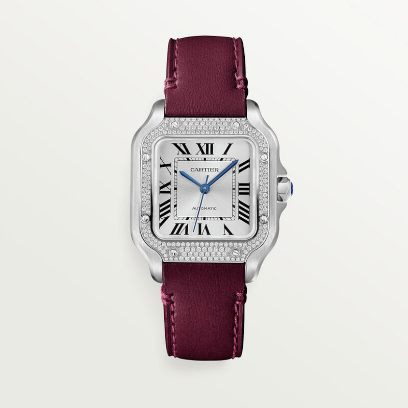 SANTOS DE CARTIER WATCH MEDIUM MODEL AUTOMATIC STEEL DIAMONDS CRW4SA0005 - Image 6