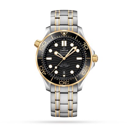 OMEGA SEAMASTER PRO DIVER 300 MENS WATCH O21020422001002