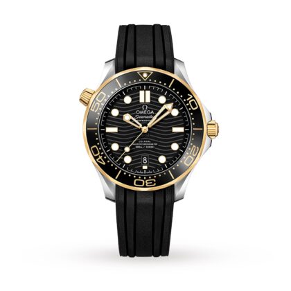 OMEGA SEAMASTER DIVER 300 CO AXIAL MENS WATCH O21022422001001